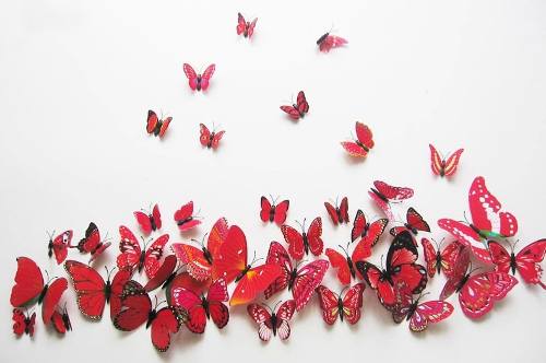 Mariposas rojas